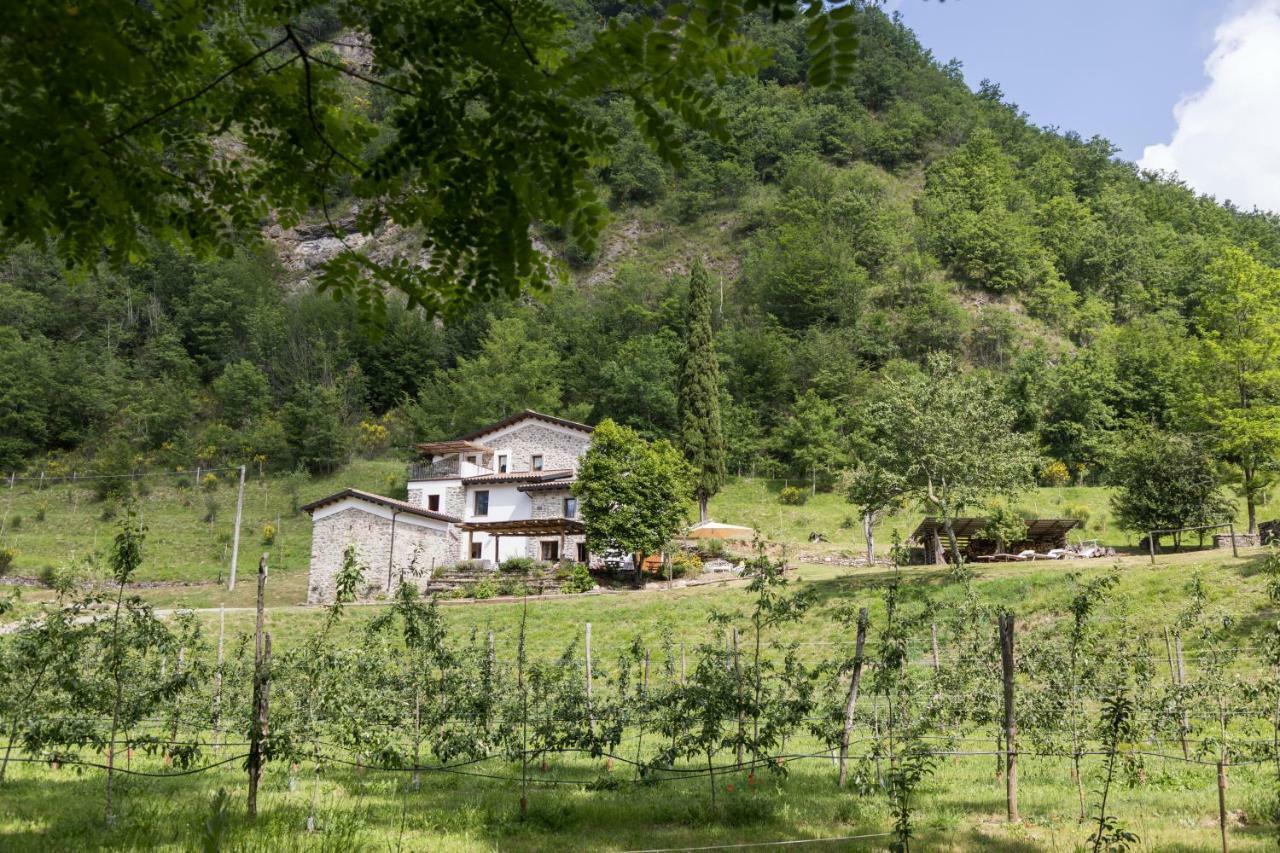 פיביצאנו Agriturismo Di La Dall'Acqua מראה חיצוני תמונה